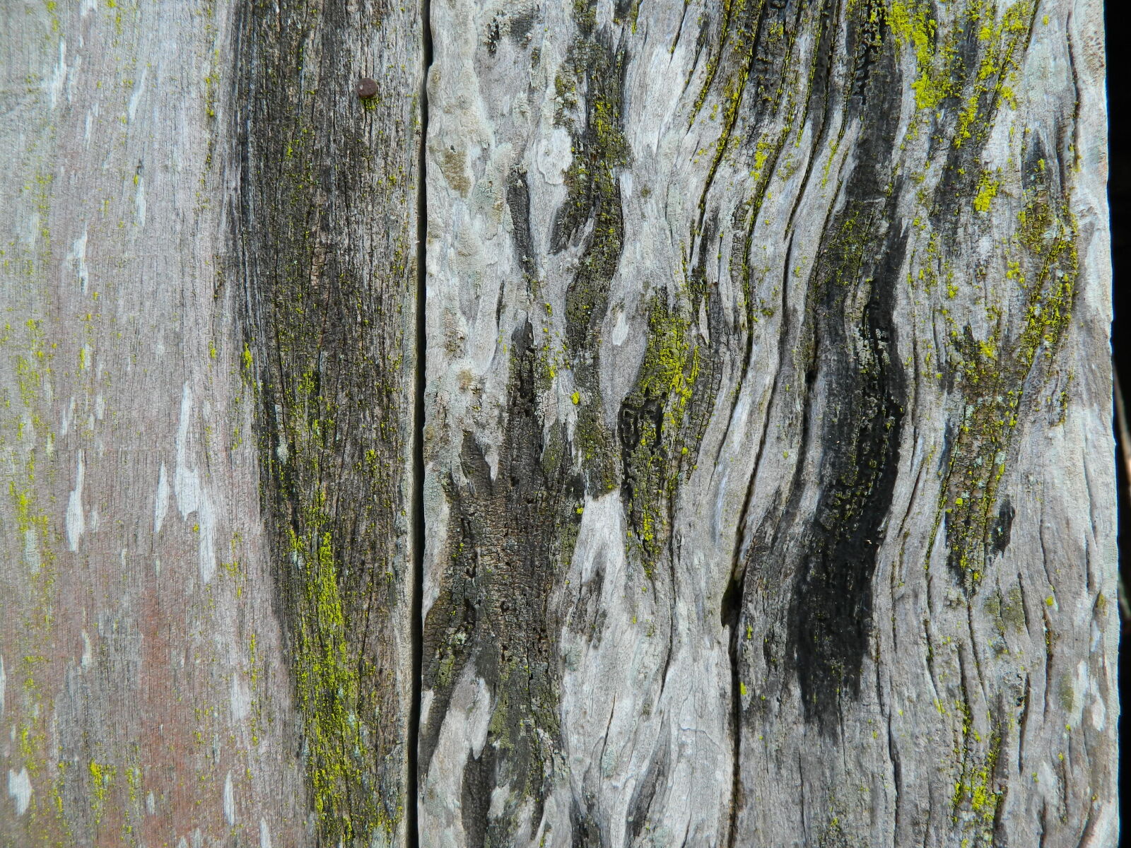 Nikon Coolpix L120 sample photo