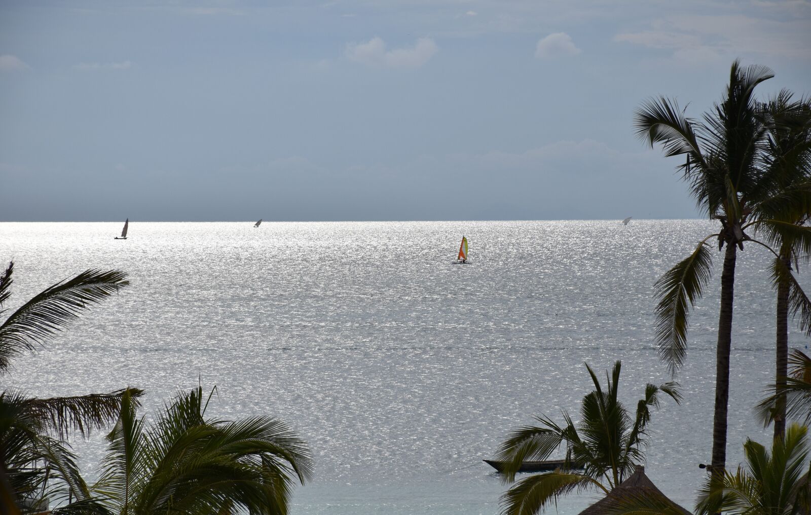 Nikon D5600 sample photo. Zanzibar, ocean, tropical photography