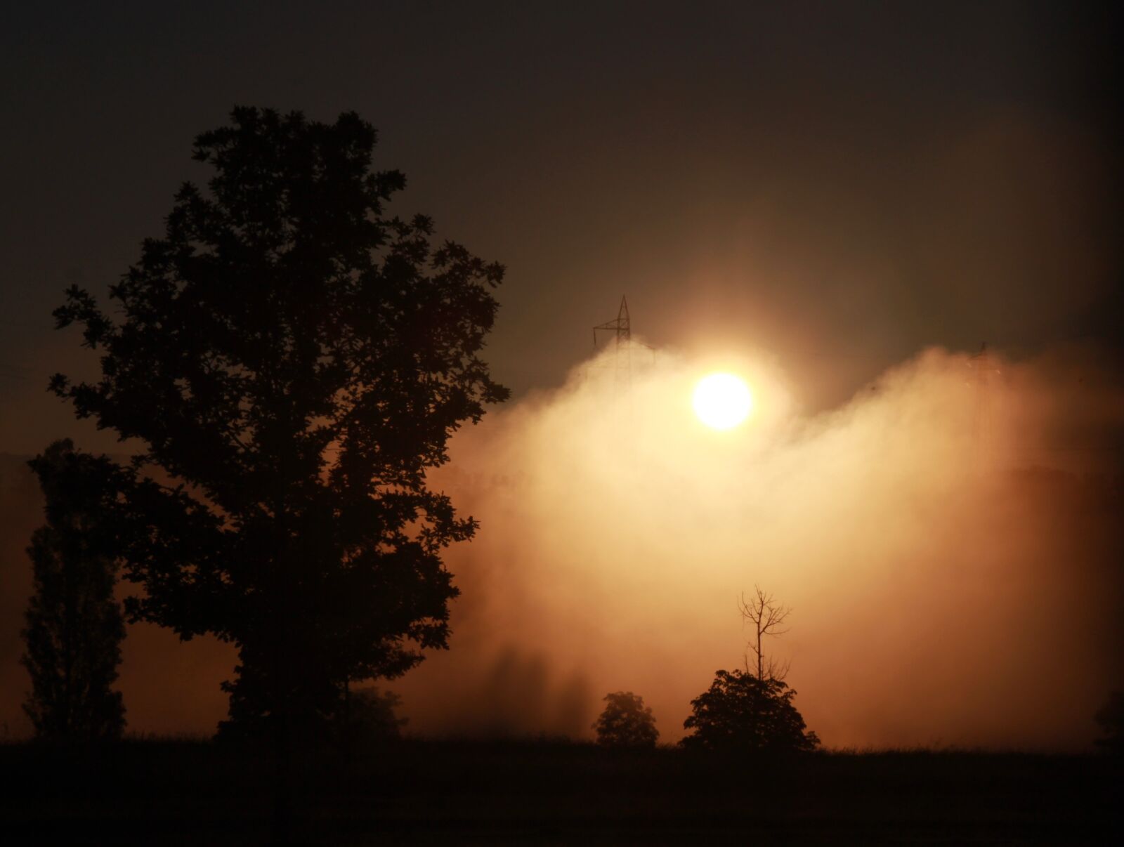 Canon EOS 700D (EOS Rebel T5i / EOS Kiss X7i) sample photo. Sunrise, the haze, tree photography