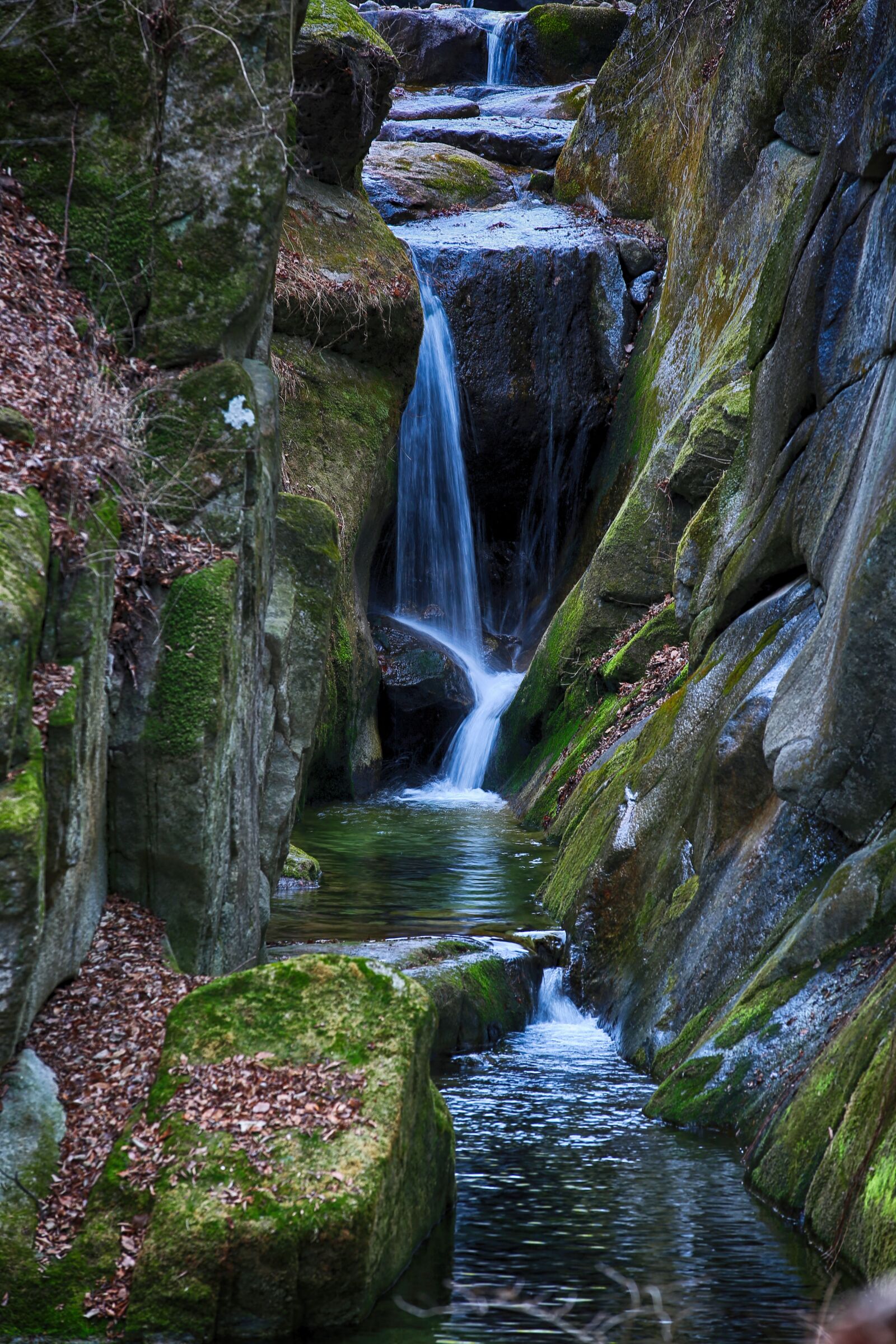 Canon EOS 5D Mark III sample photo. Streams, nature, the creek photography