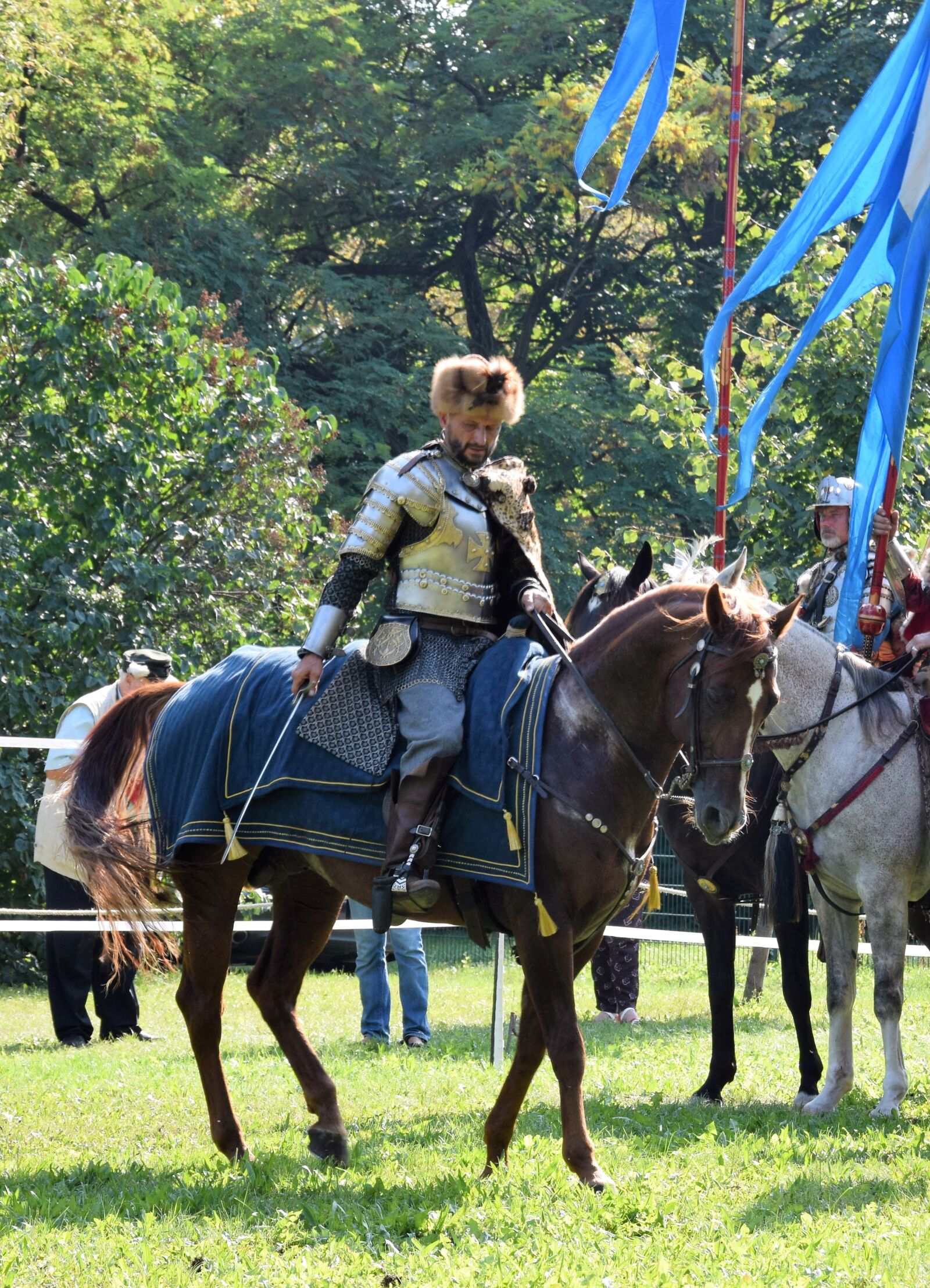 Nikon D3300 sample photo. Sommerfest, knight, attack photography