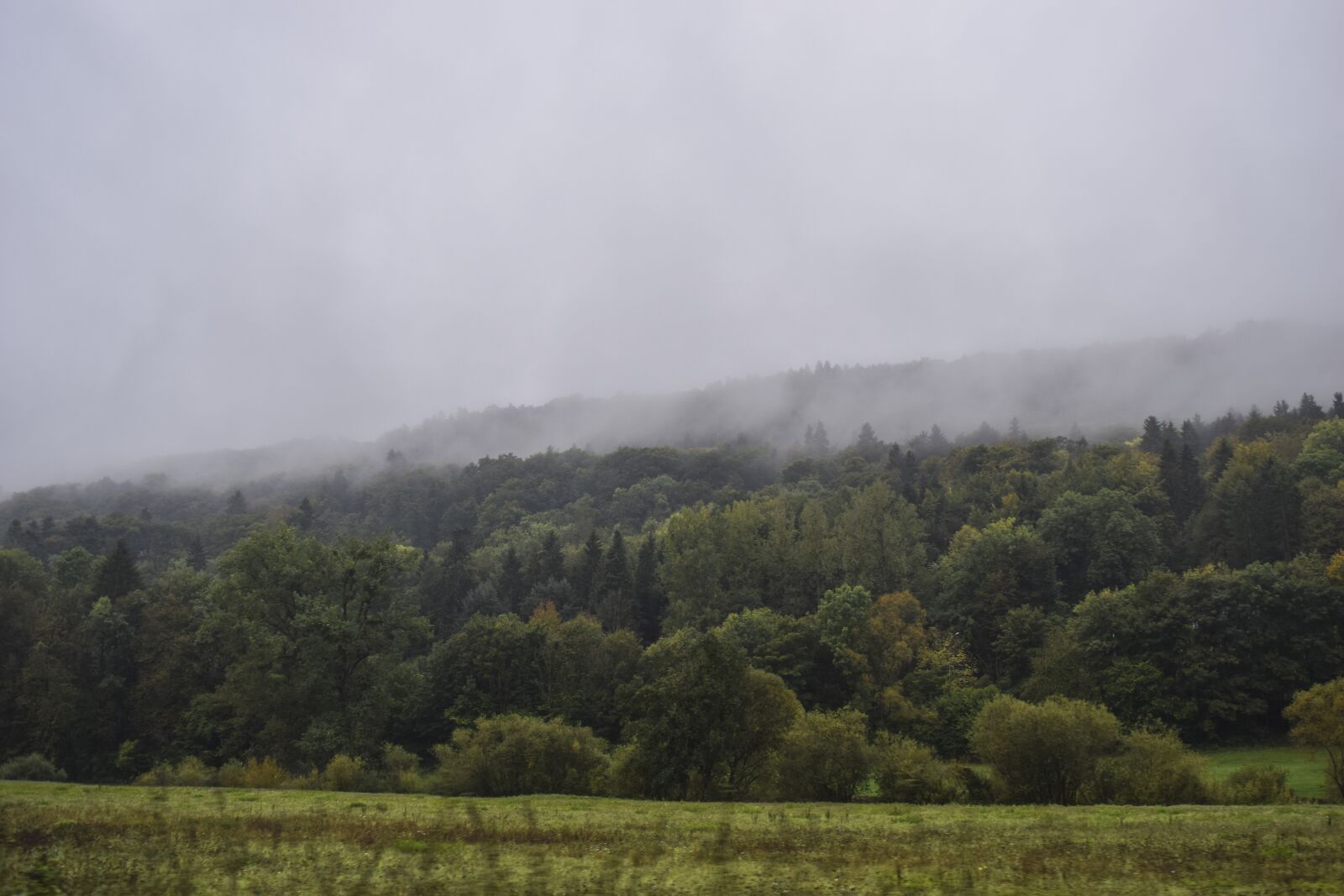 Nikon D3300 sample photo. Landscape, fog, forest photography