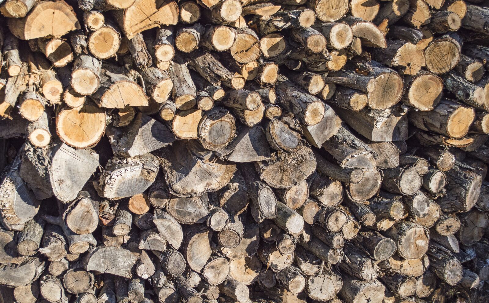 Nikon D3200 sample photo. Wood, firewood, wood pile photography