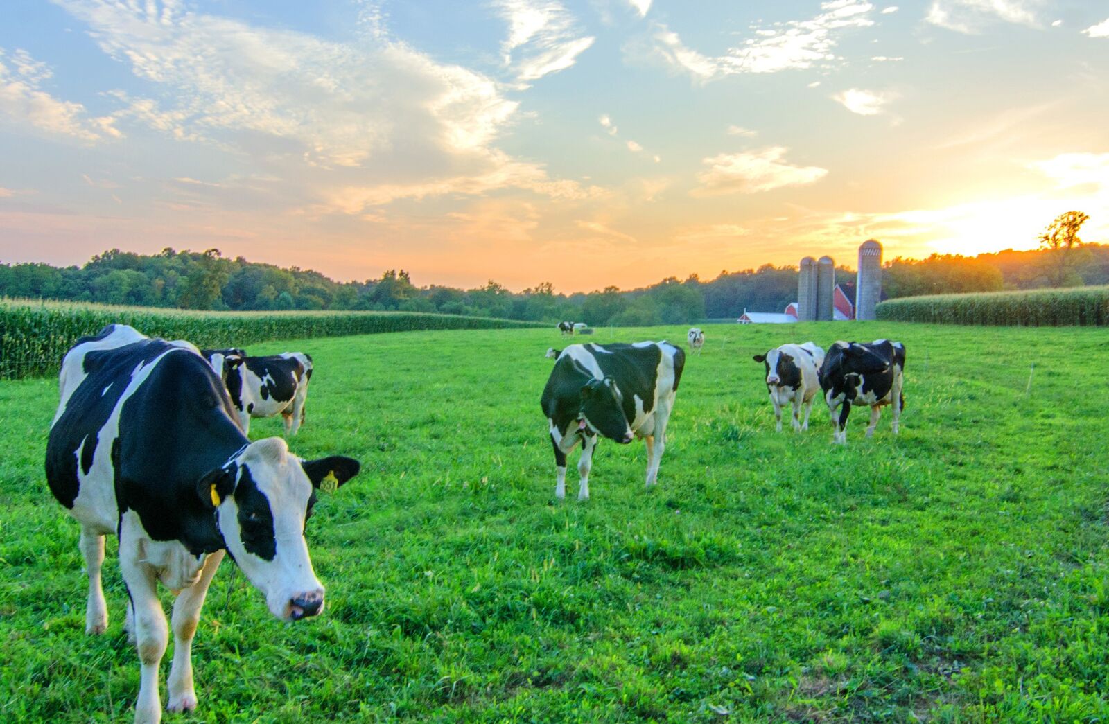 Nikon D7000 sample photo. Farm, farm life, farming photography