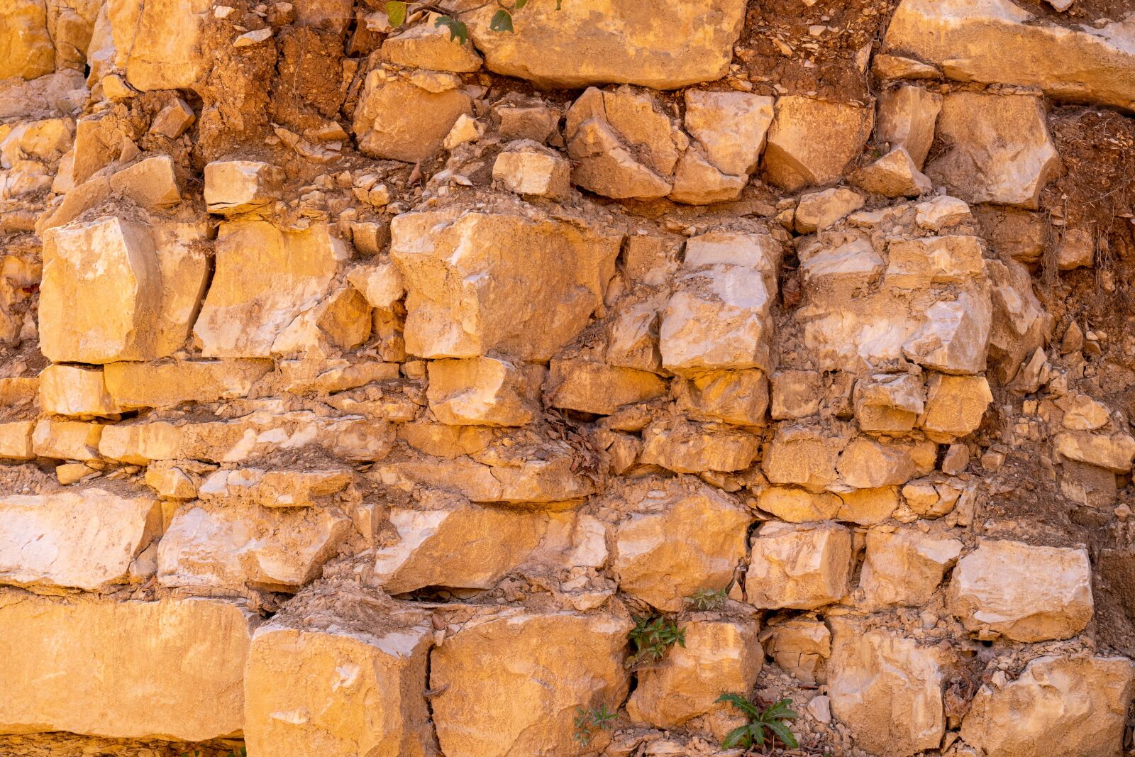 Nikon D5600 sample photo. Stone, wall, texture photography