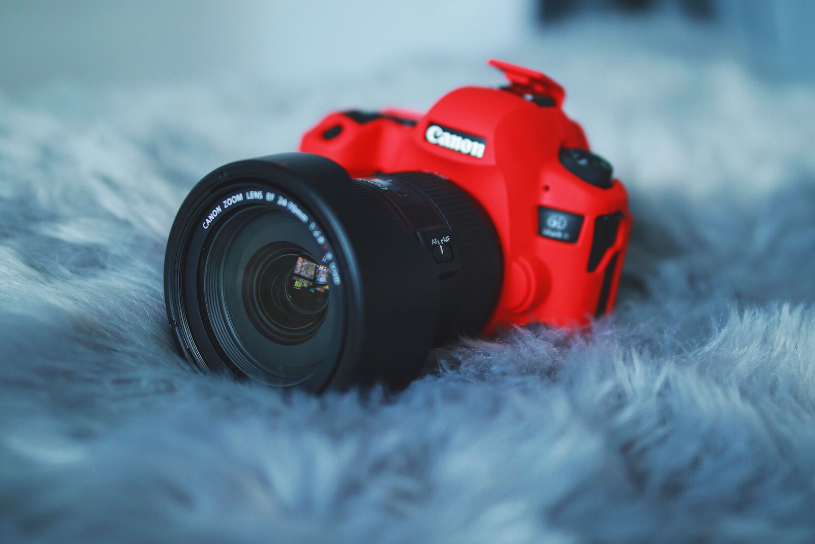 Canon EOS 250D (EOS Rebel SL3 / EOS Kiss X10 / EOS 200D II) sample photo. Canon, camera, lens photography
