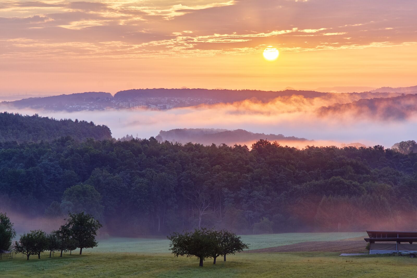Sony SLT-A77 sample photo. Morning, fog, nature photography