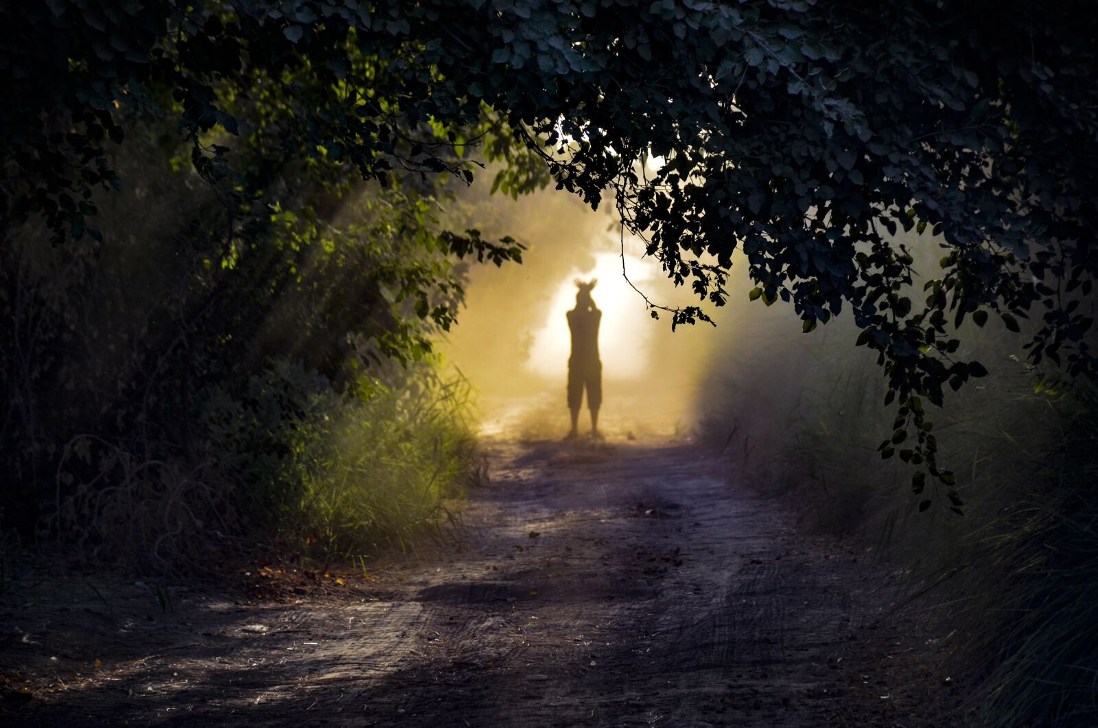 Nikon D7000 sample photo. Silhouette, mist, fog photography