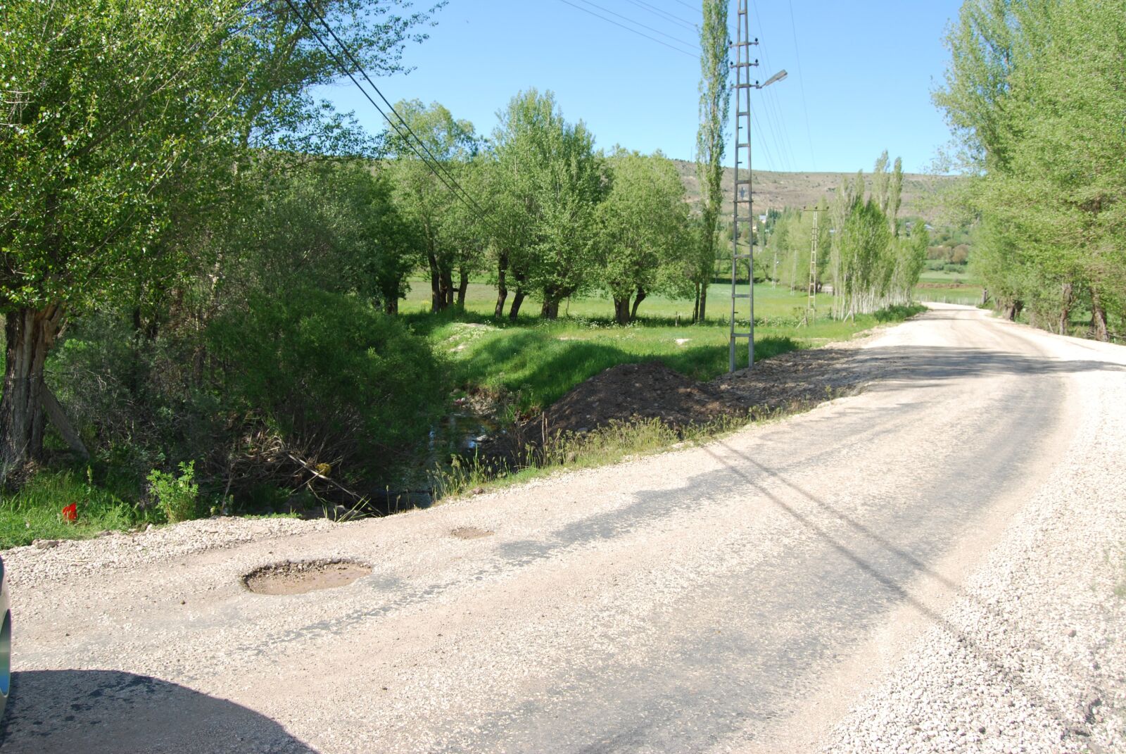 Nikon D60 sample photo. Road, trees, green photography