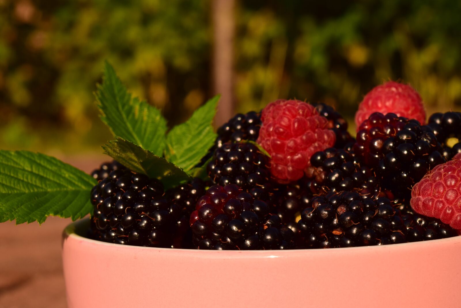 Nikon D3300 sample photo. Raspberries, blackberries, fruits photography