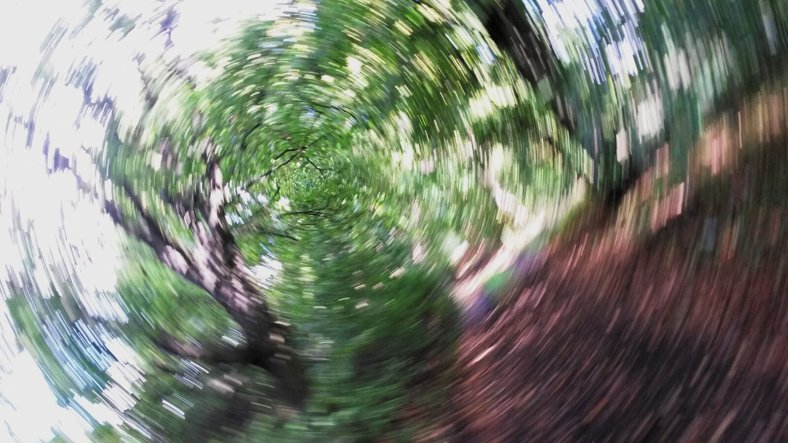Samsung Galaxy S4 Mini sample photo. Nature, twirl photography