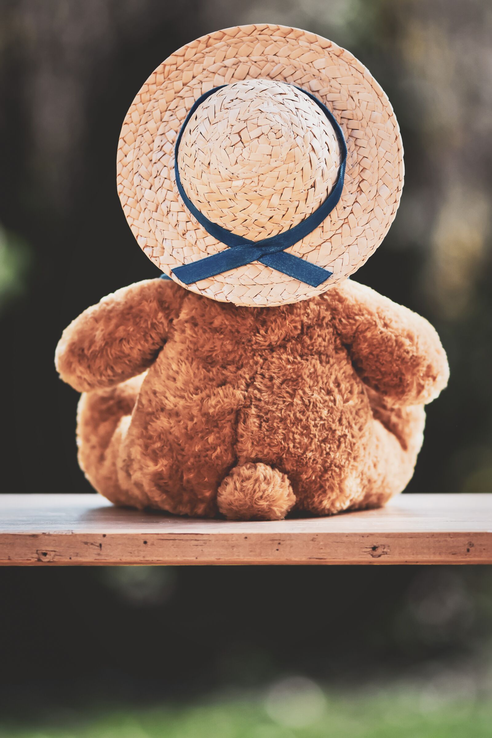 Nikon D7200 sample photo. Bear, teddy, lonely photography