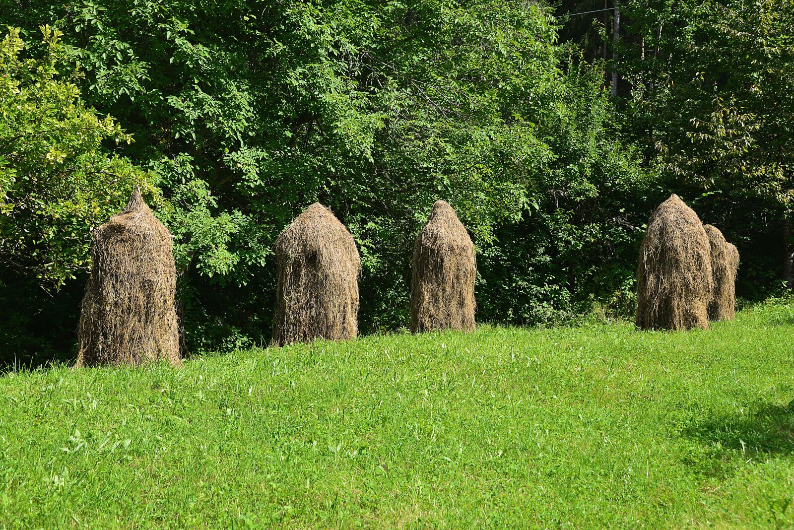 Nikon D610 sample photo. Hay, haystacks, meadow photography