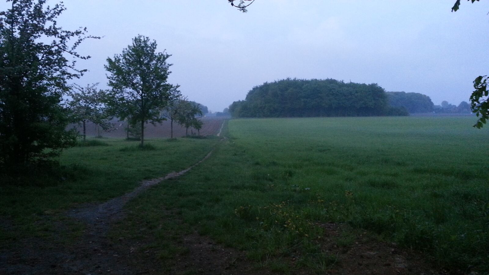 Samsung Galaxy Note2 sample photo. Flower mountain, cologne, forest photography