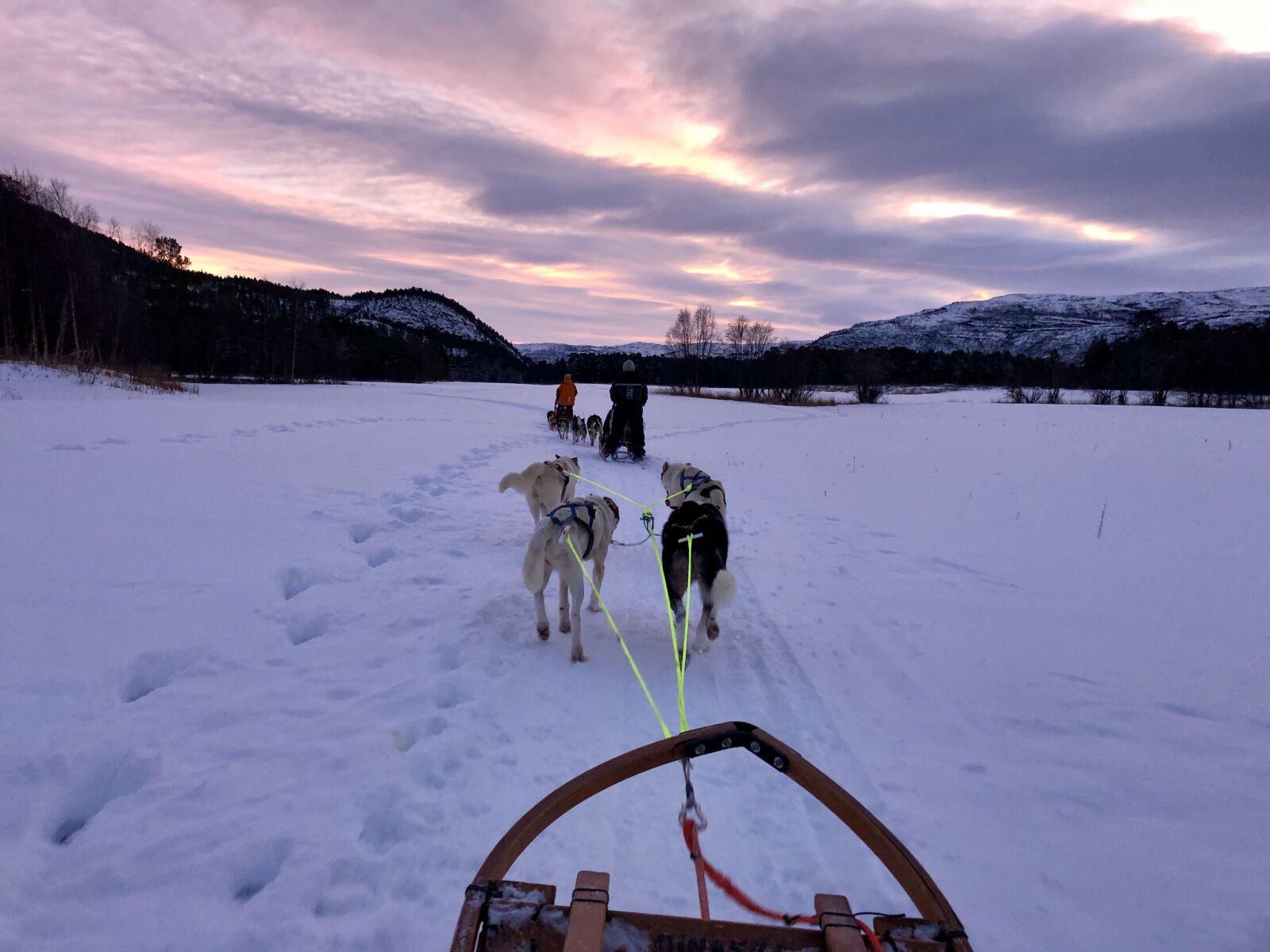 iPhone X back dual camera 4mm f/1.8 sample photo. Alaskan husky, dog sledding photography