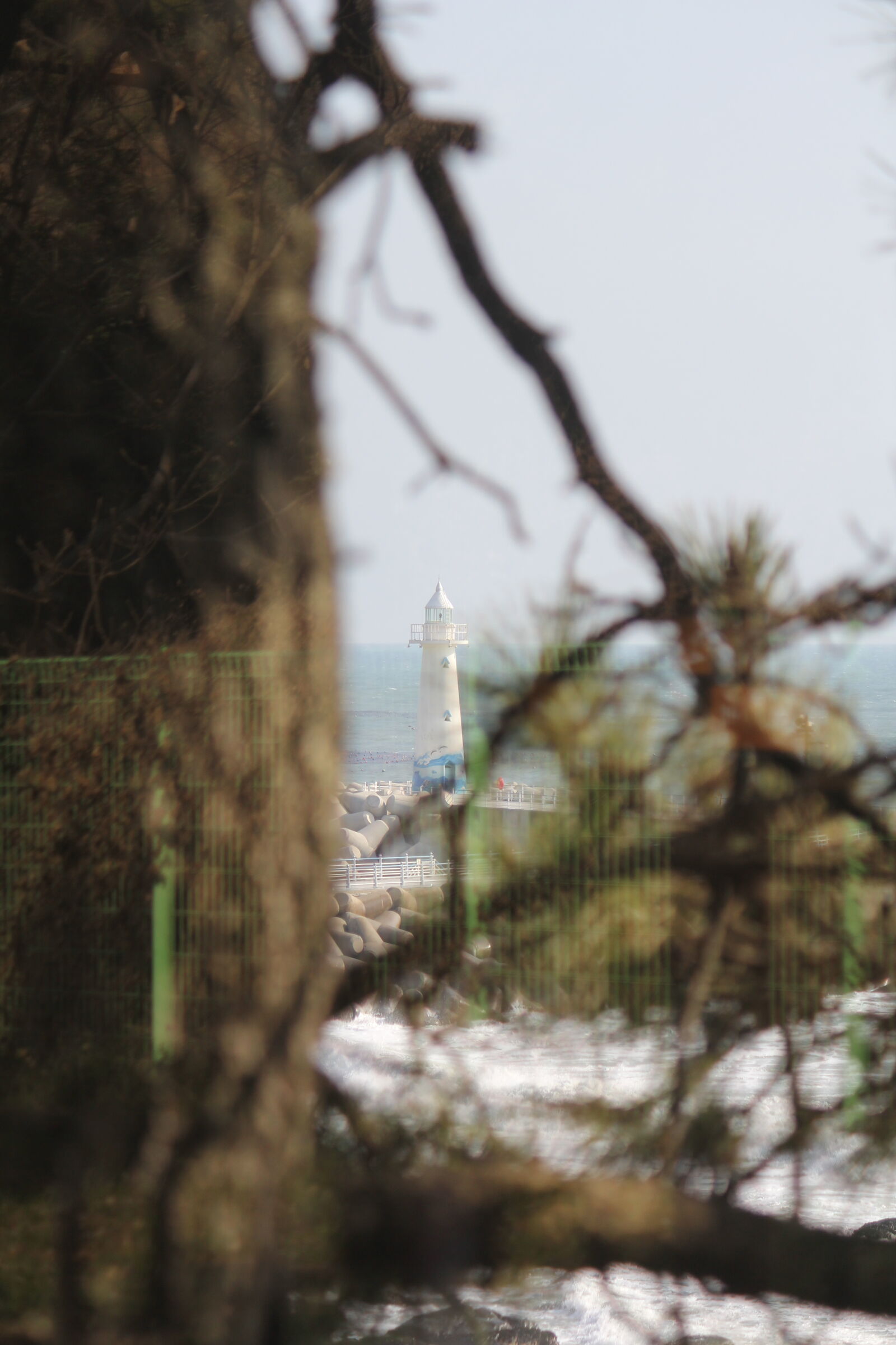 Canon EOS 60D sample photo