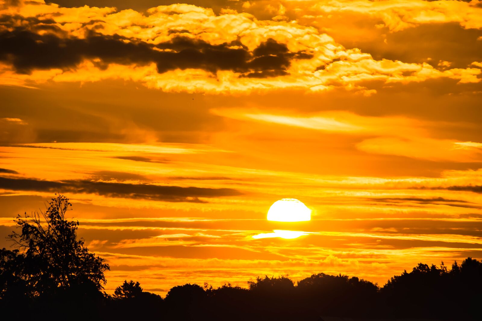 Canon EOS 650D (EOS Rebel T4i / EOS Kiss X6i) sample photo. Sunrise, sun, morgenrot photography