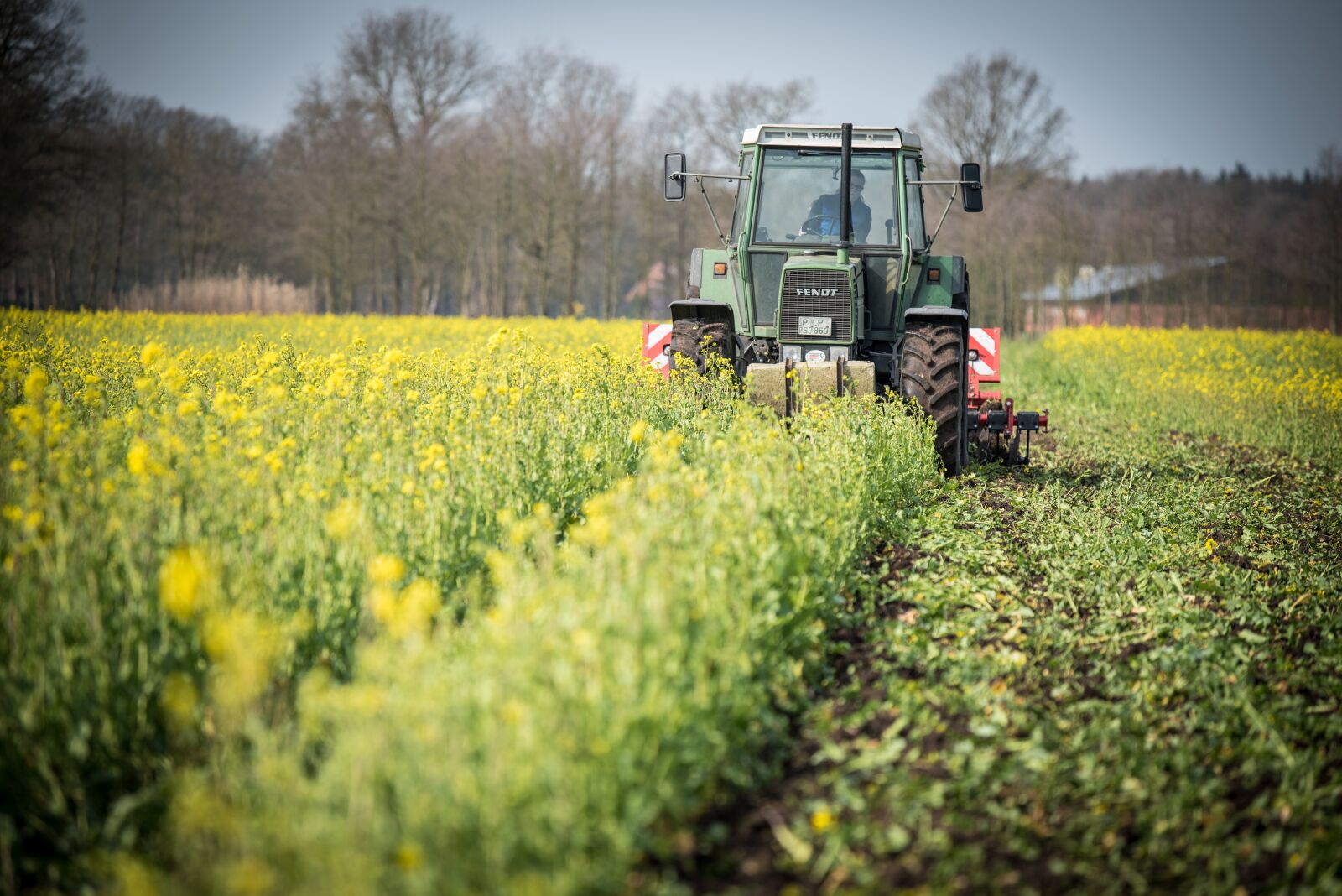 Nikon D750 sample photo. Catch crop, tractor, field photography