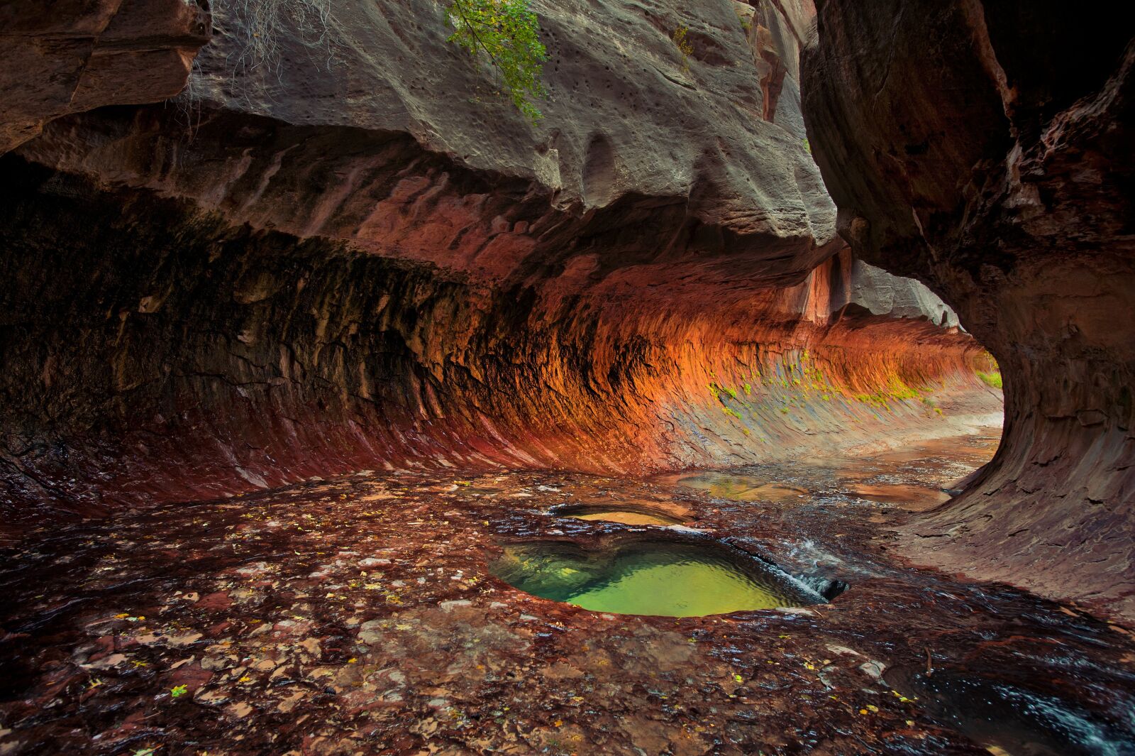 Nikon D700 sample photo. Hike, rock, desert photography