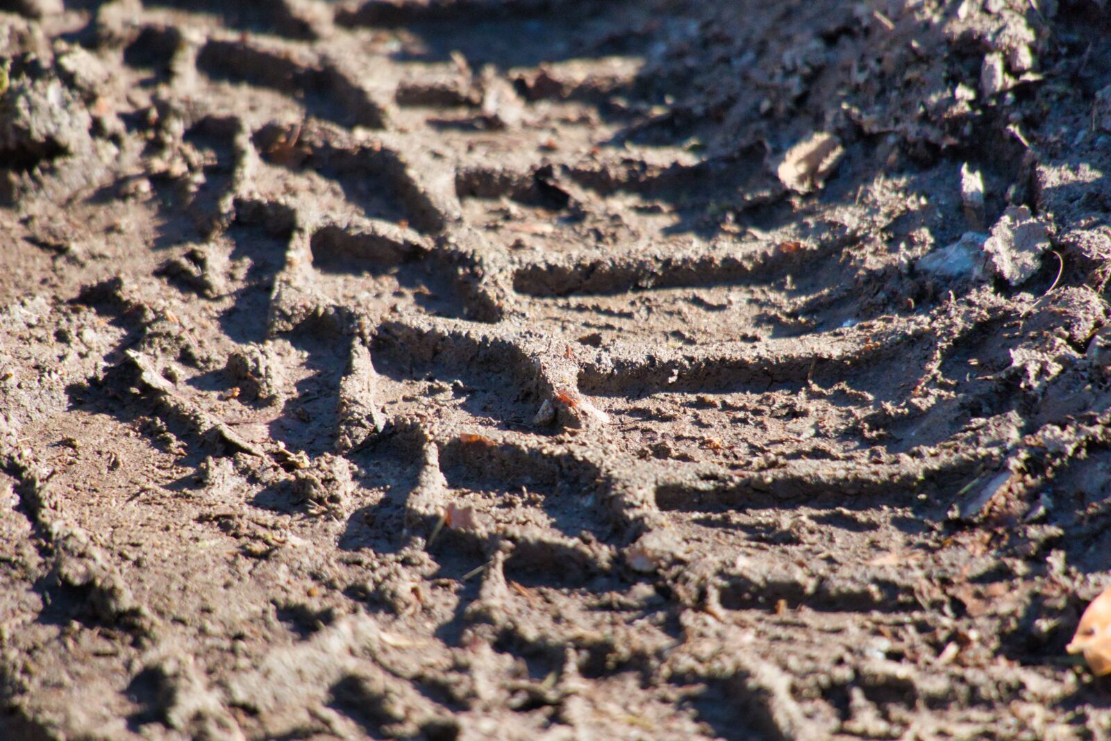 Canon PowerShot G3 X sample photo. Mature imprint, mud, tire photography