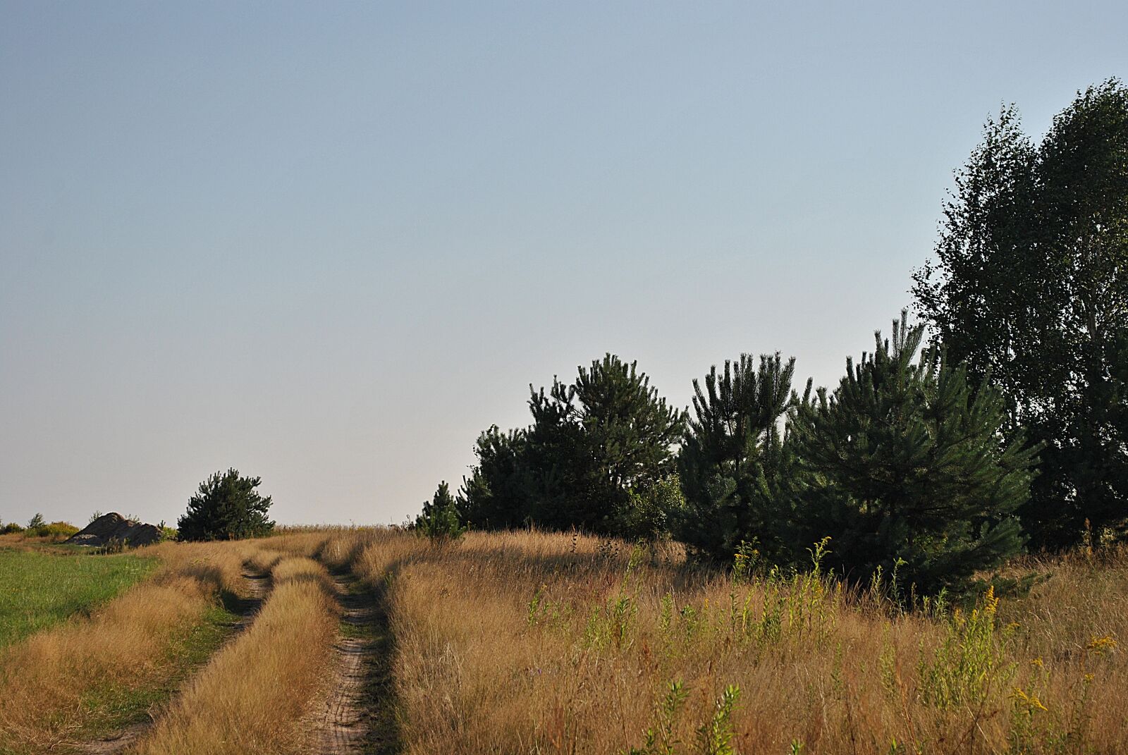 Nikon D3000 sample photo. The sun, weather, nature photography