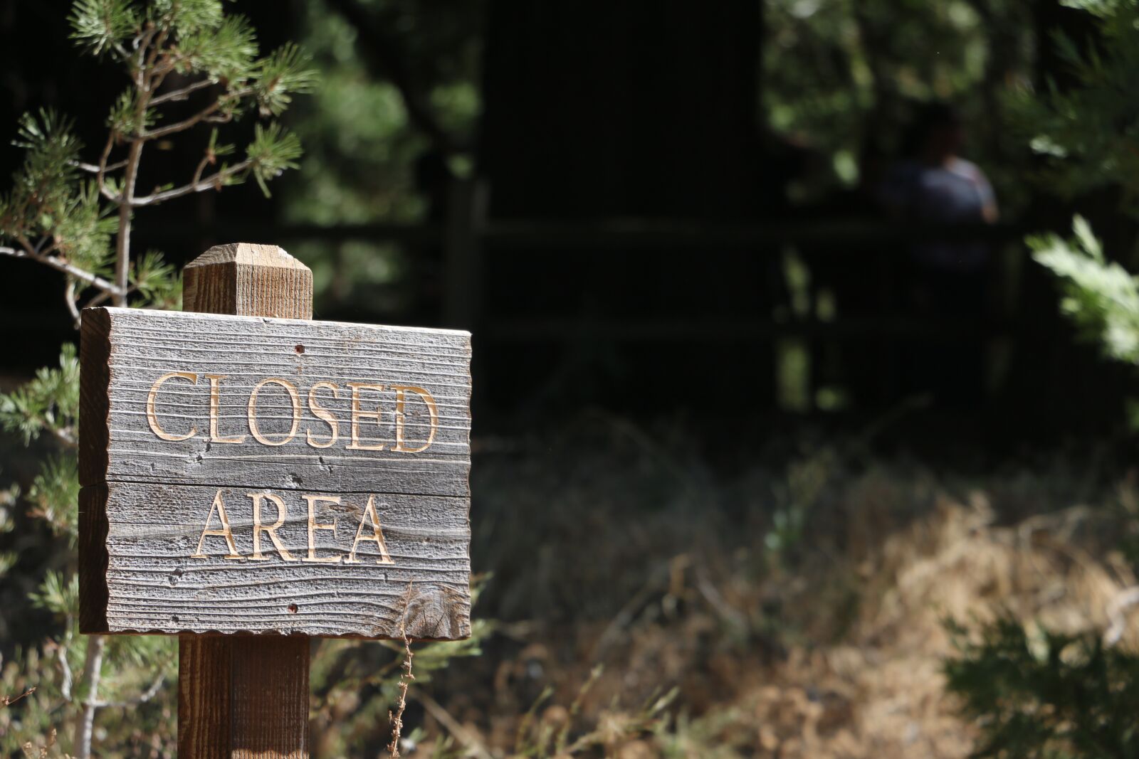Canon EOS 70D sample photo. Trail, hiking, path photography