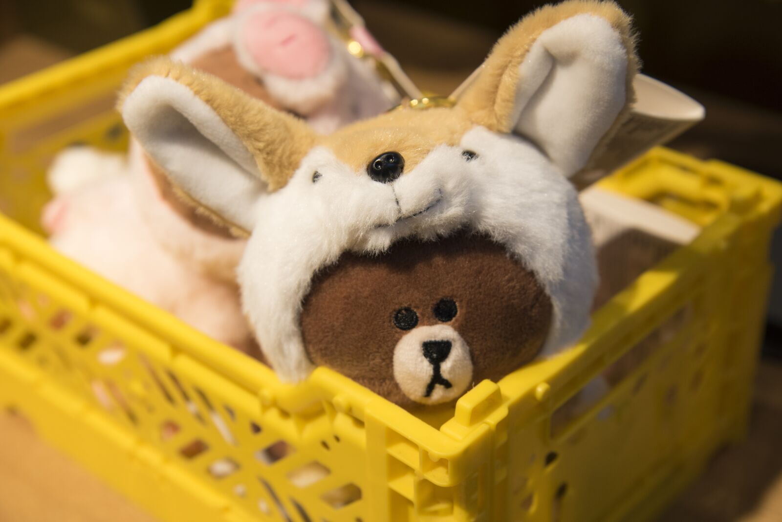 Nikon D750 sample photo. Toys, puppet, doll photography