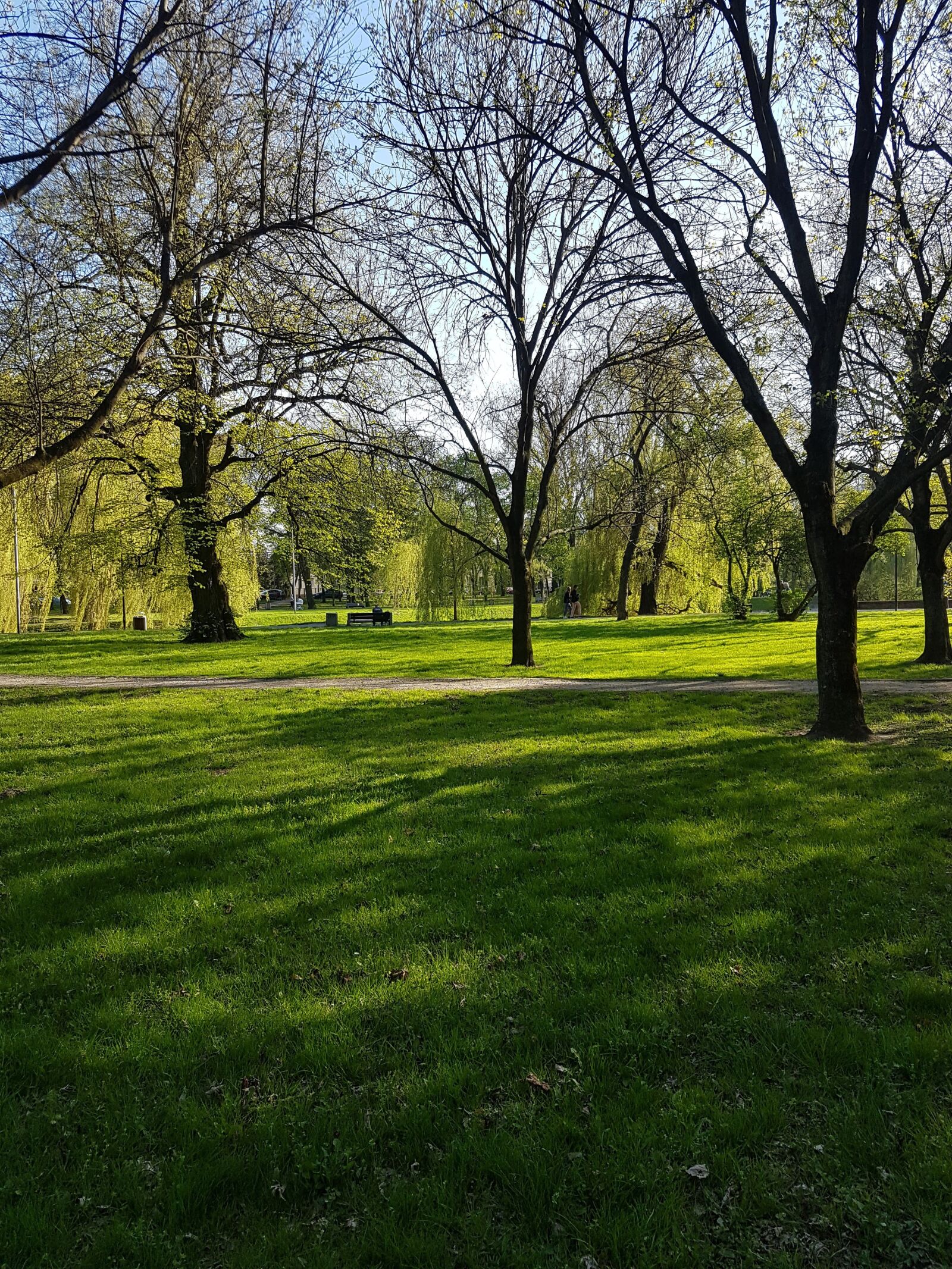 Samsung Galaxy S7 sample photo. Nature, park, green photography