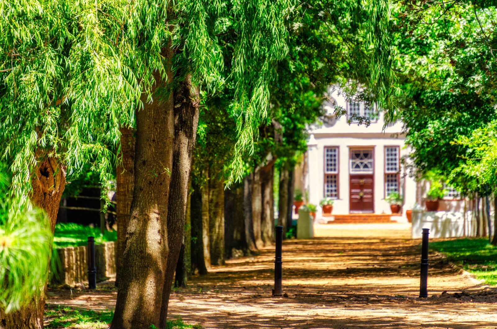 Nikon D7000 sample photo. Trees, avenue, building photography