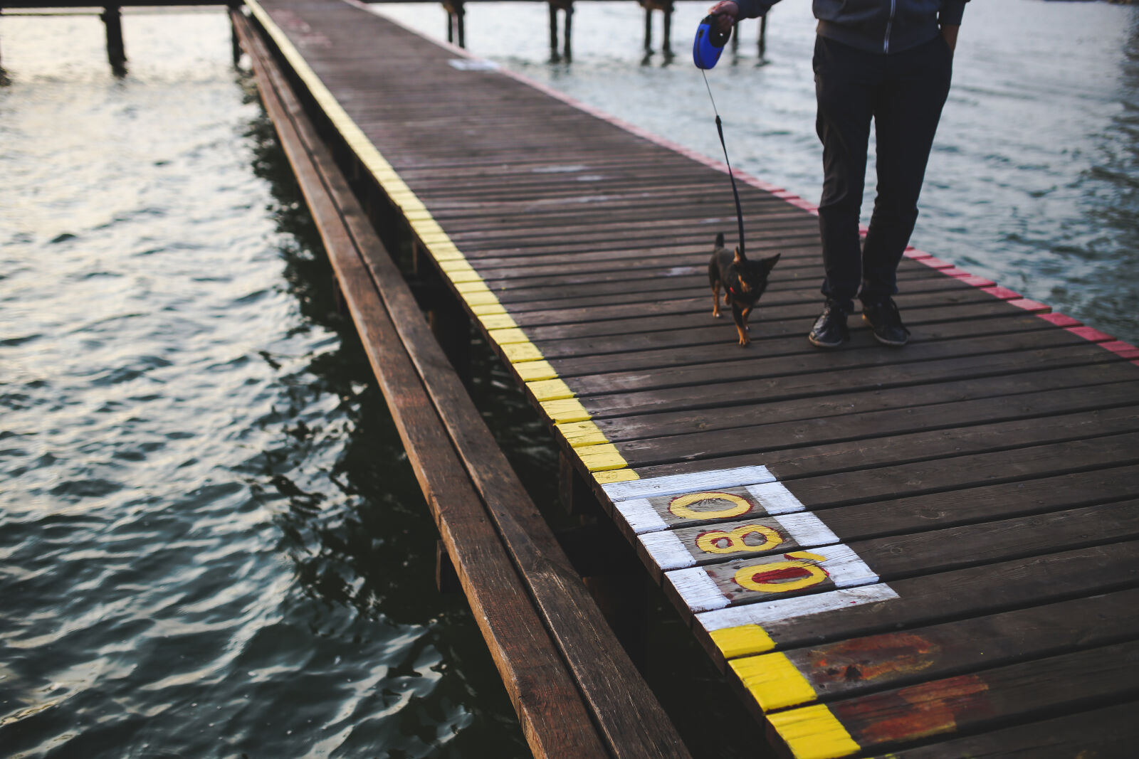 Canon EOS 6D + Sigma 35mm F1.4 DG HSM Art sample photo. Evening, walk, with, the photography