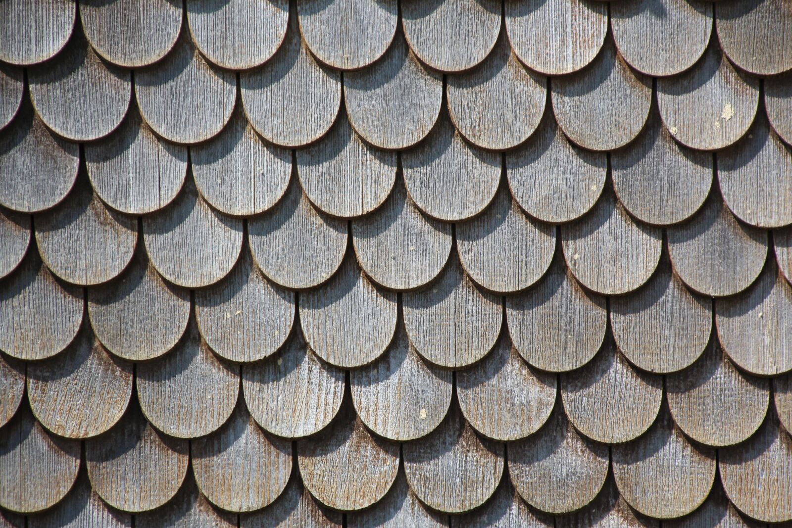 Canon EOS 1200D (EOS Rebel T5 / EOS Kiss X70 / EOS Hi) sample photo. Wood paneling, grey, wood photography
