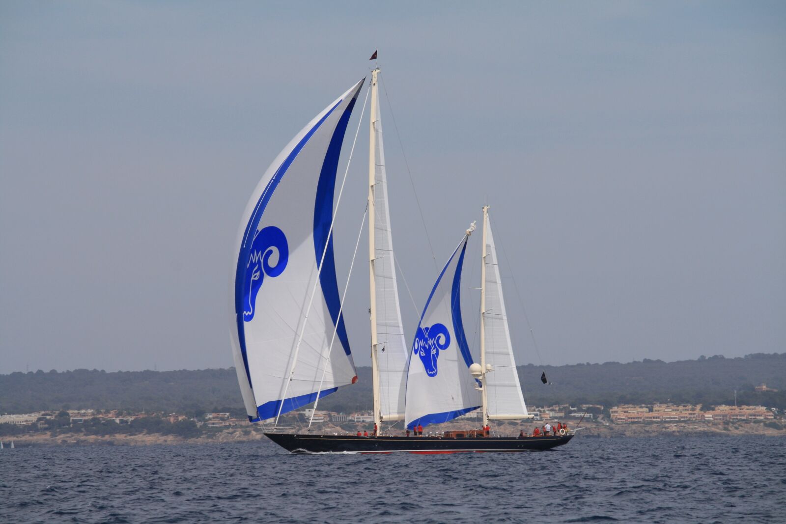 Canon EOS 1000D (EOS Digital Rebel XS / EOS Kiss F) sample photo. Sail, regatta, sailing boat photography