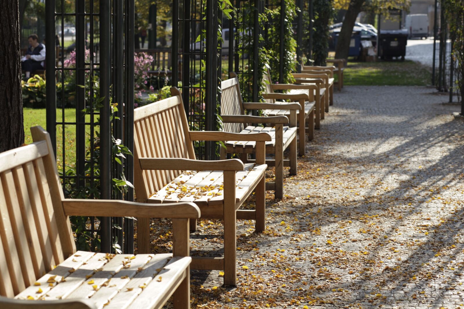 Canon EOS 5D Mark II sample photo. Pilsen, park, the bench photography