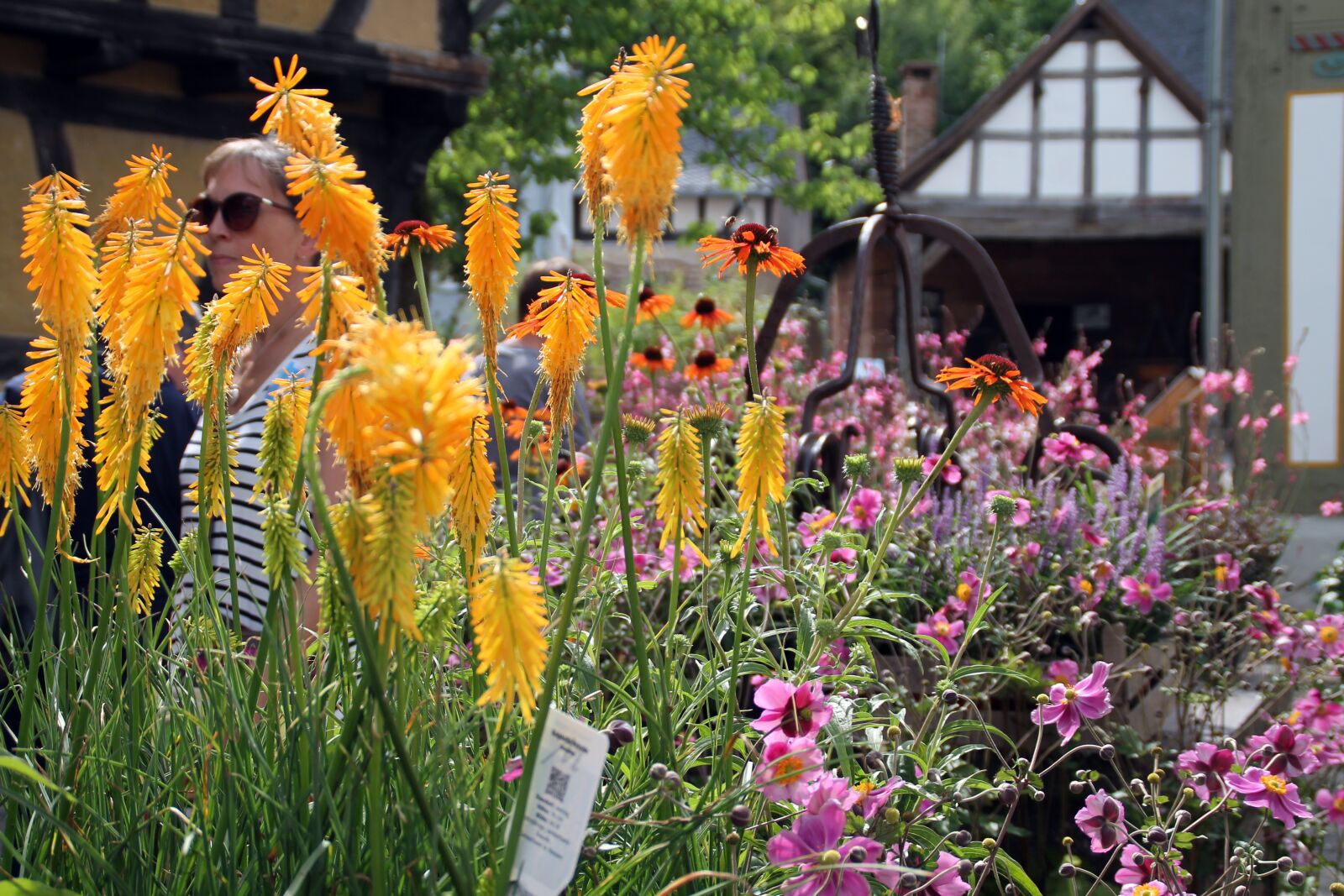 Canon EOS 1100D (EOS Rebel T3 / EOS Kiss X50) sample photo. Farmer's market, hesse park photography