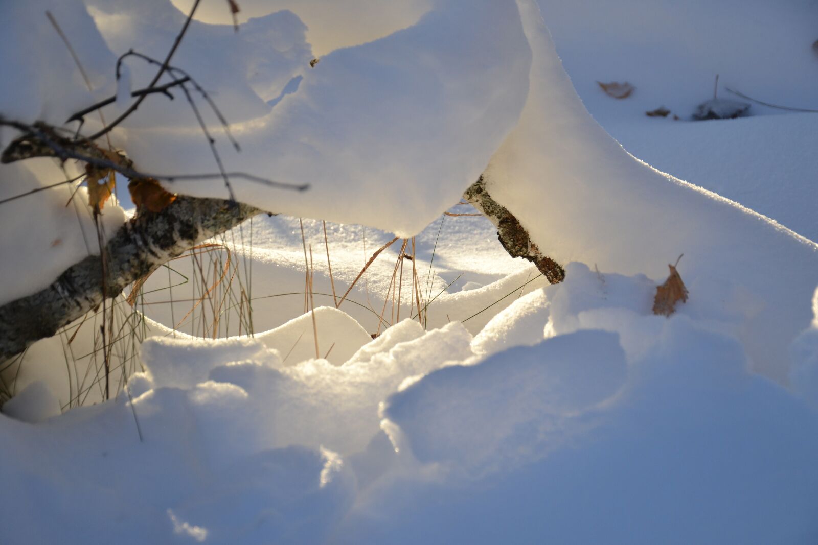 Nikon D3100 sample photo. Winter, sunbeam, snow photography