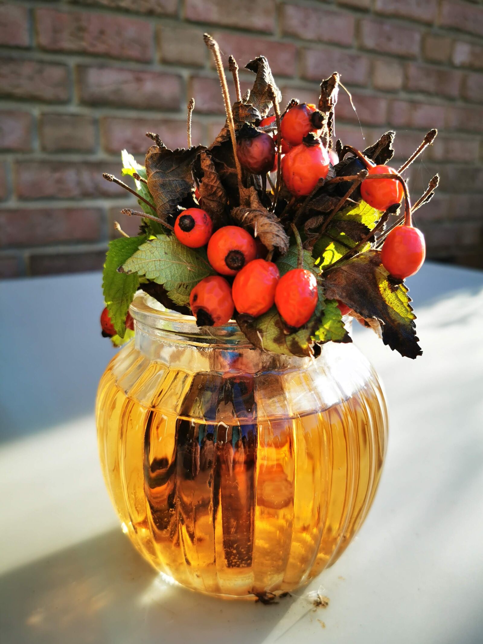 HUAWEI P30 Pro sample photo. Winter, autumn, berries photography
