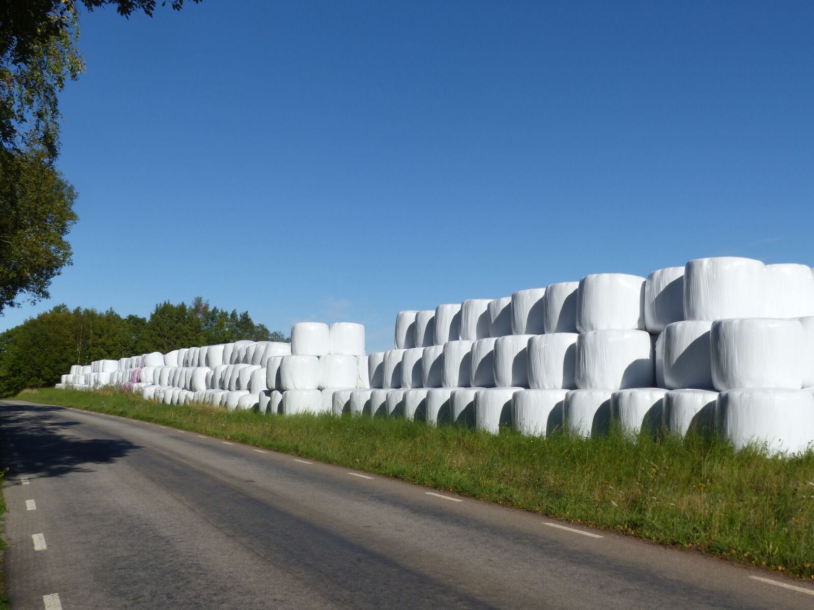 Panasonic Lumix DMC-FZ200 sample photo. Hay bales, plastic, white photography