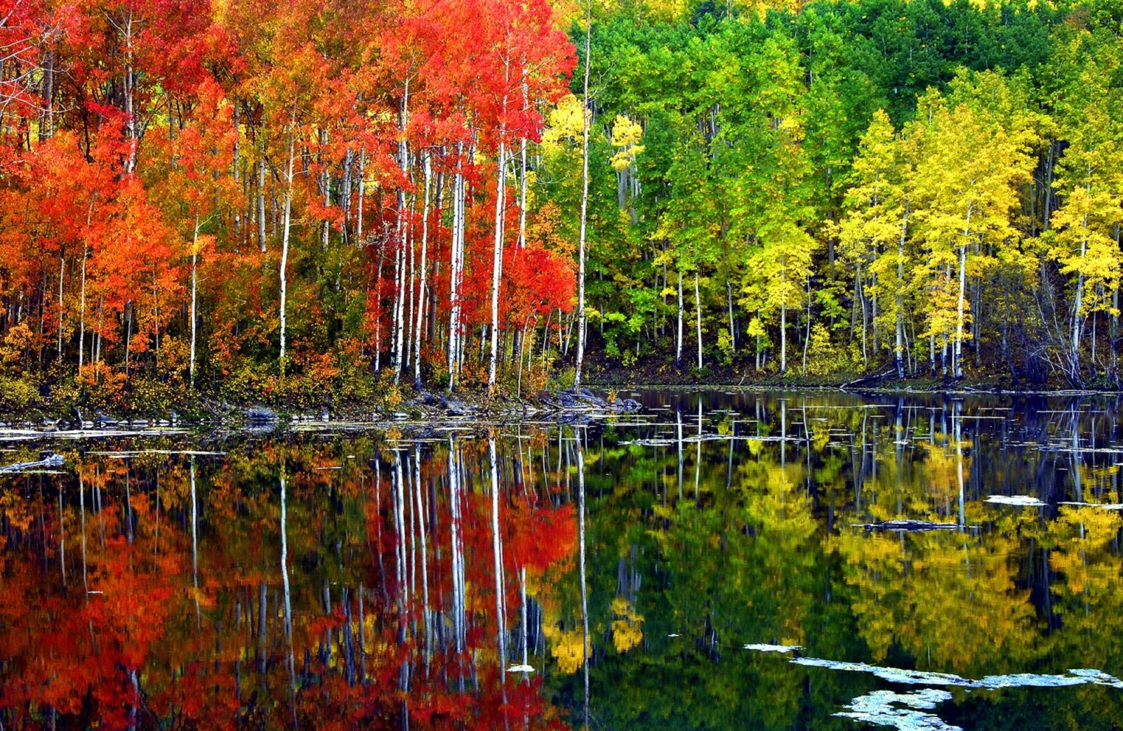Nikon D200 sample photo. Autumn, scenic, foliage photography