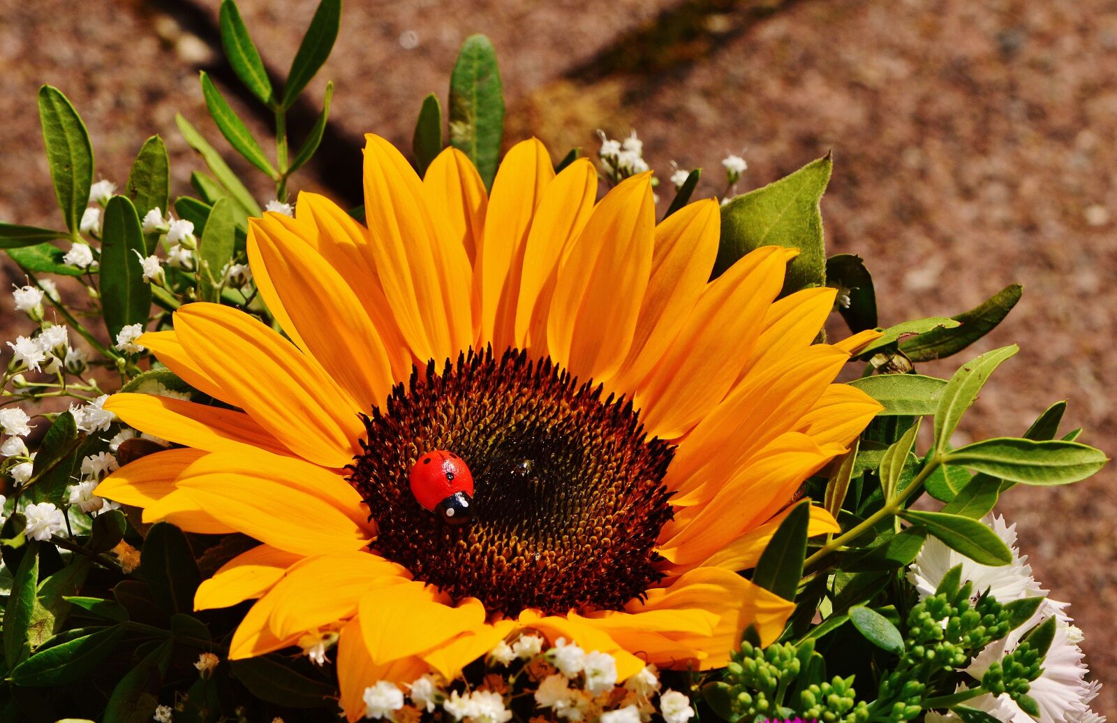 Nikon D3200 sample photo. Bouquet, sunflower, summer photography