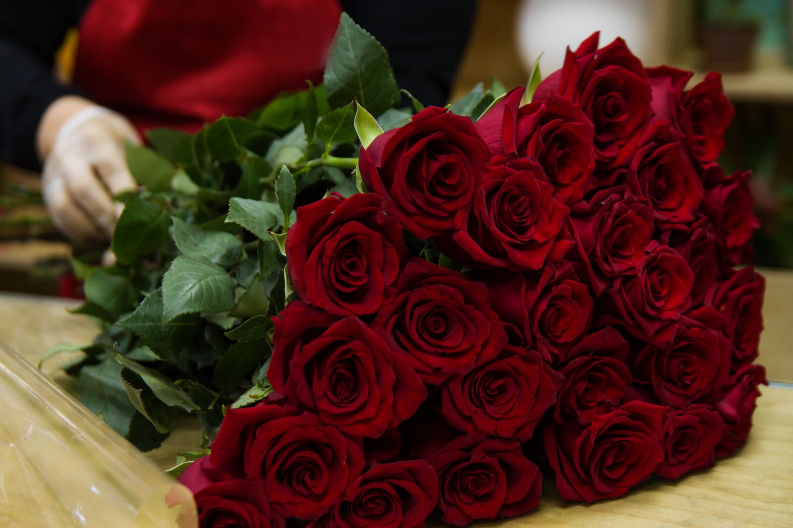 Canon EOS 70D sample photo. Rose, roses, flower photography