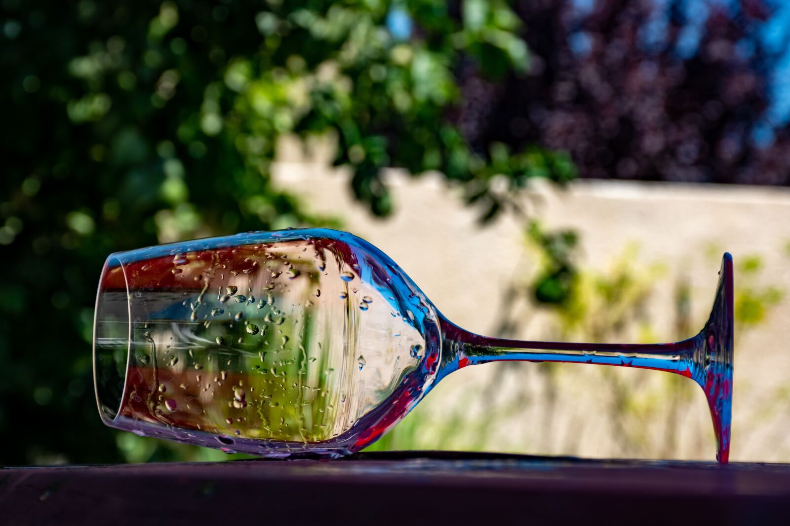 Nikon D5600 sample photo. Glass, empty glass, wine photography