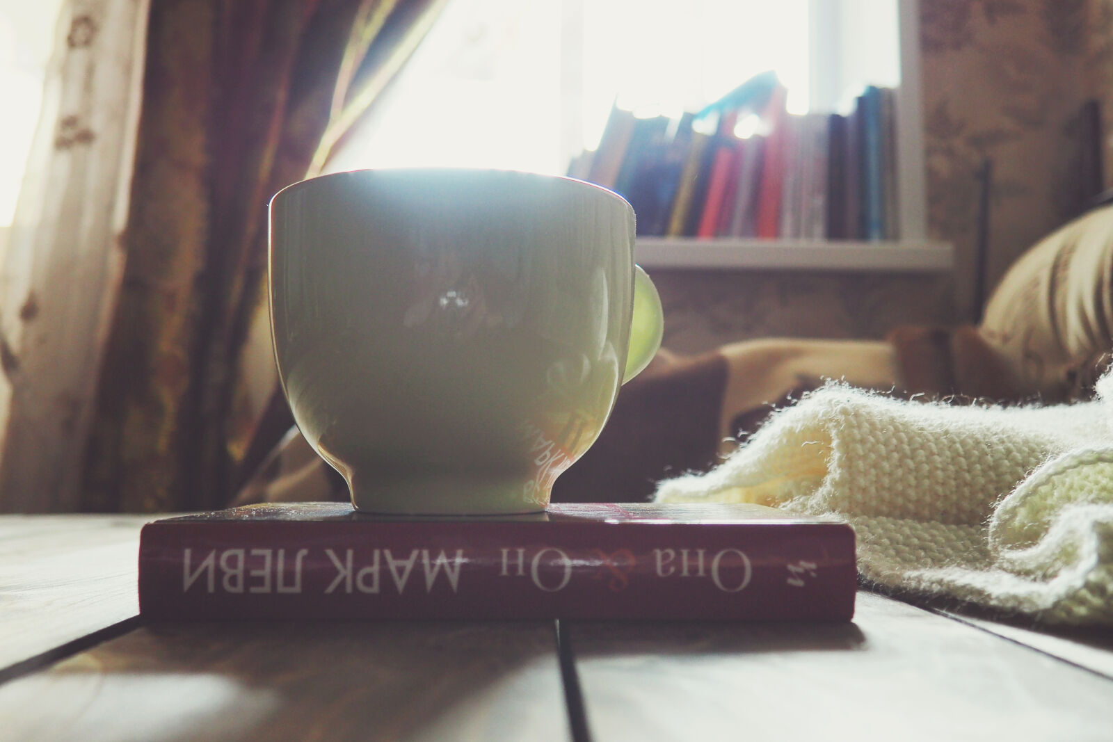 Olympus OM-D E-M10 II sample photo. Book, cup, hobby, knitting photography