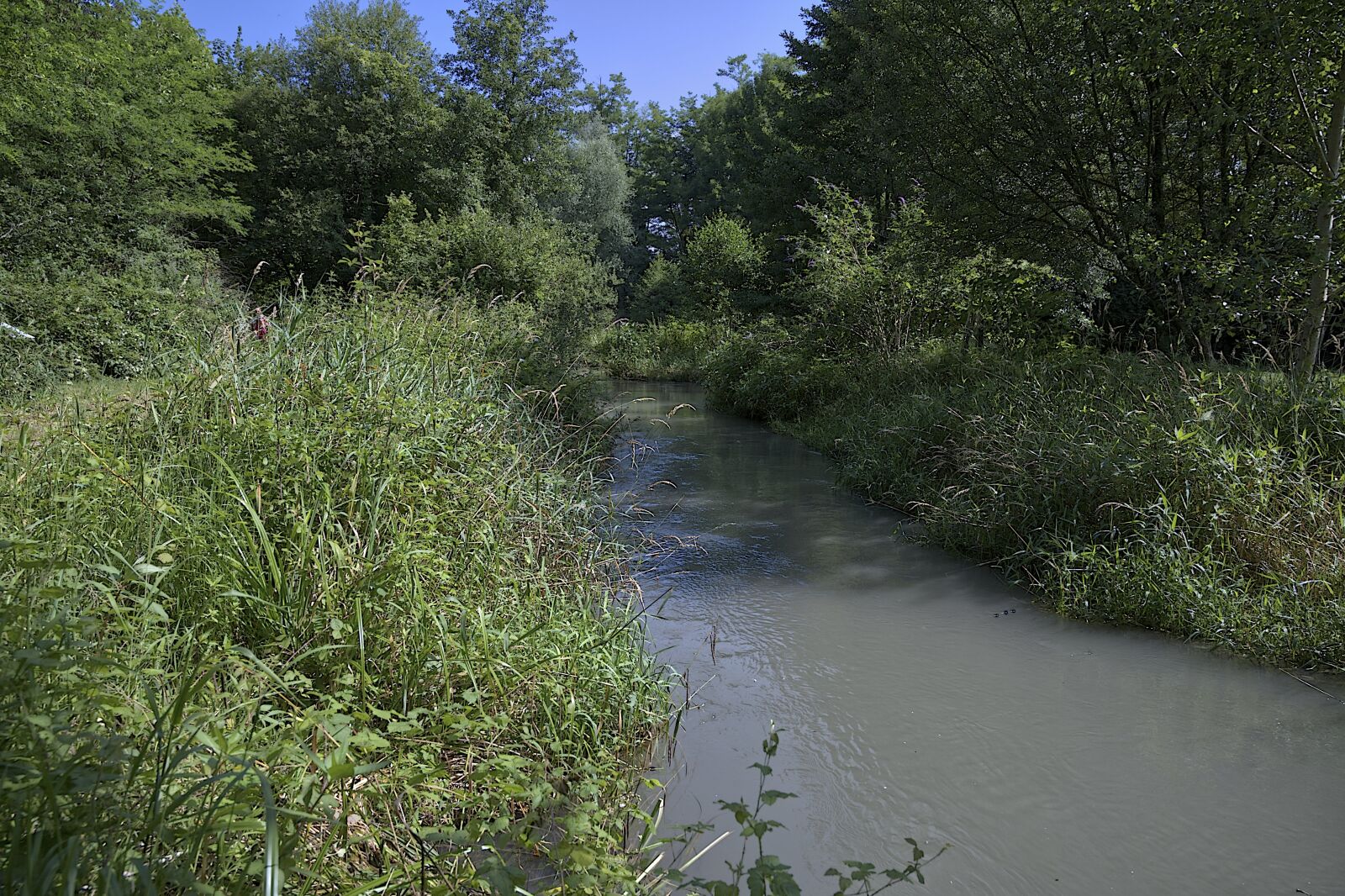 Nikon Z6 sample photo. Creek, field, landscape photography