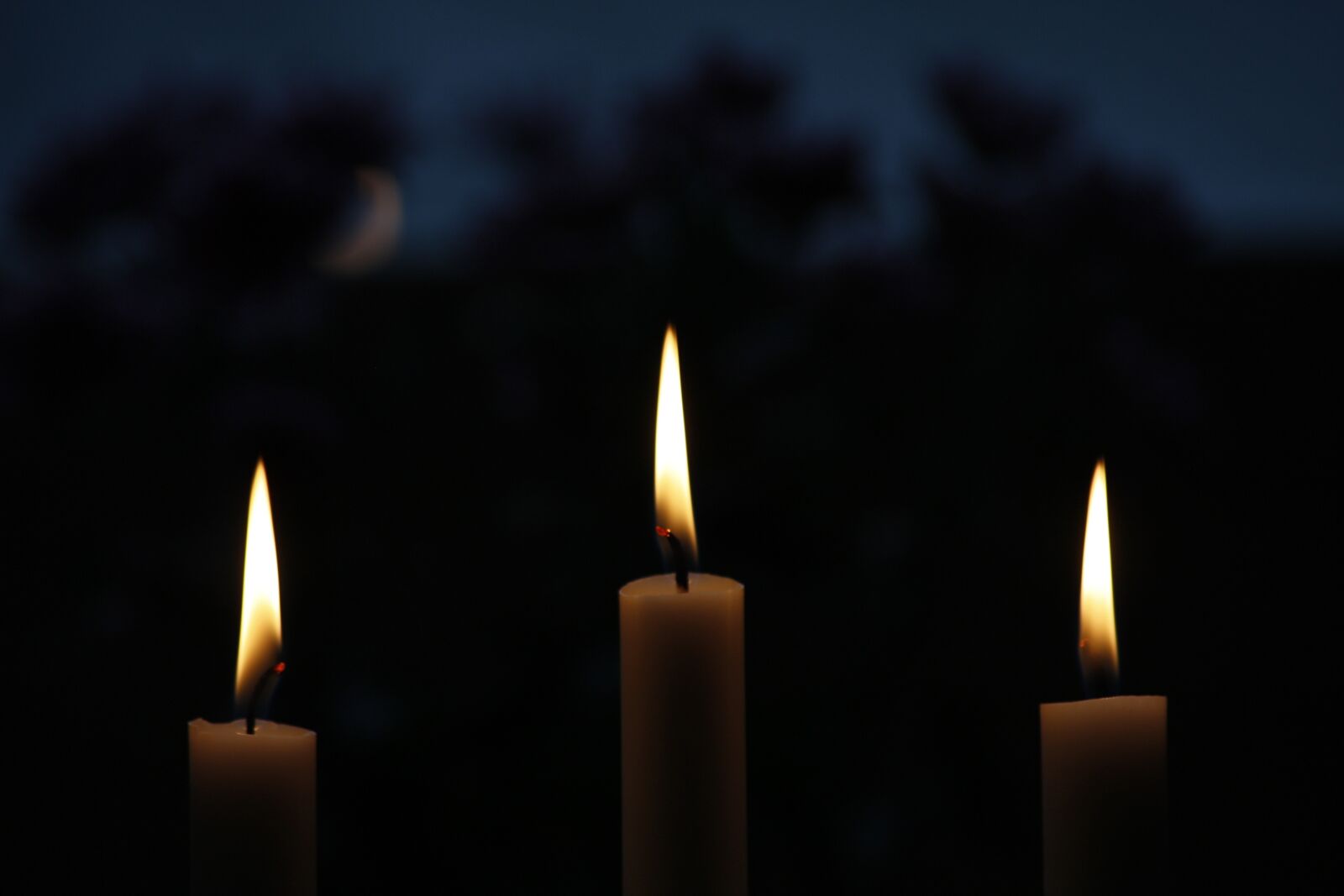 Canon EOS 450D (EOS Rebel XSi / EOS Kiss X2) sample photo. Candle, flames, christmas photography
