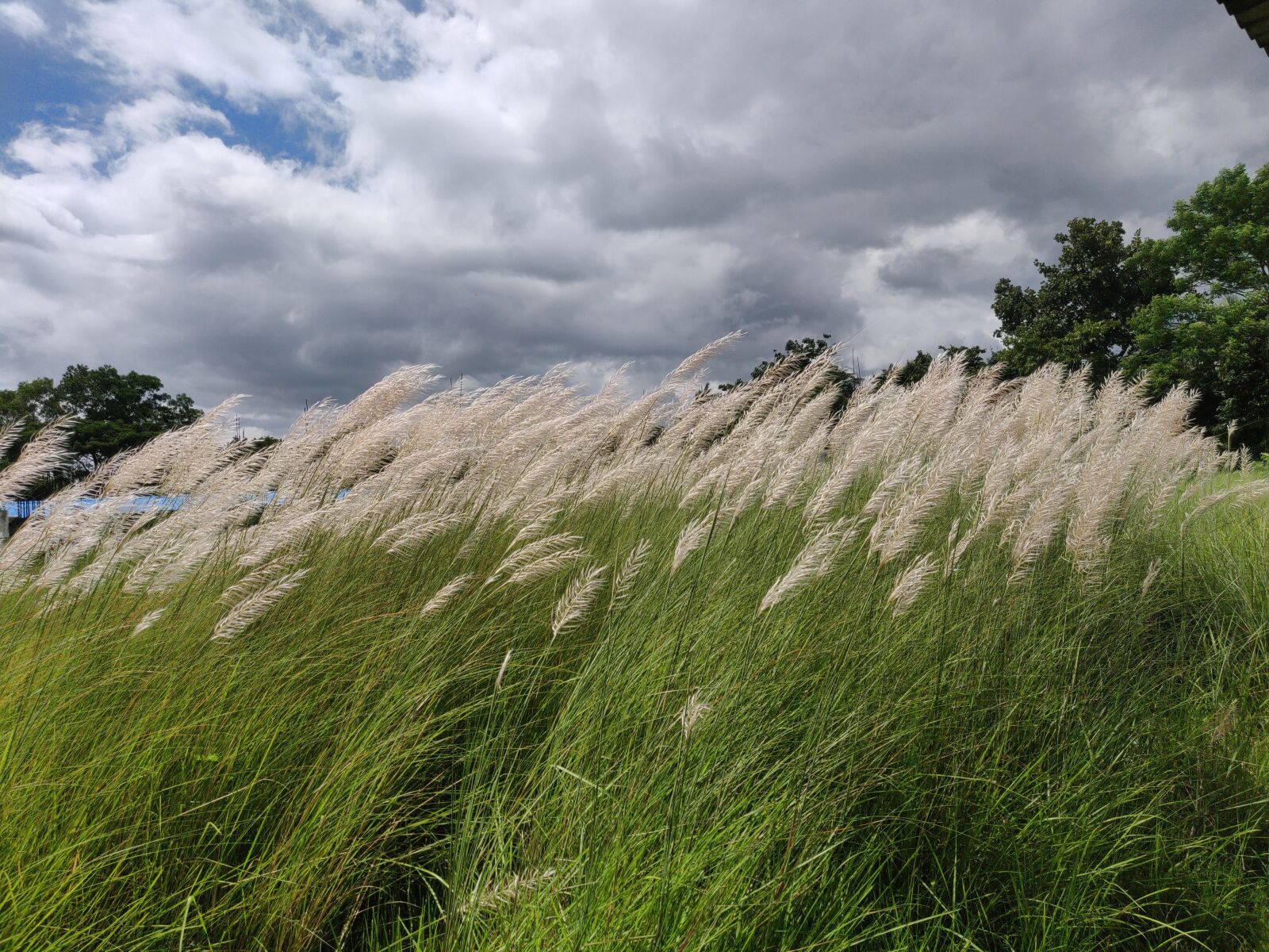 OnePlus A6000 sample photo. Suny day, sunny, day photography
