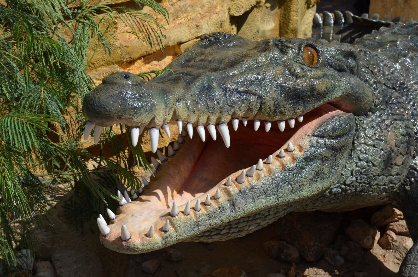Nikon D5100 sample photo. Head, crocodile, of poliesp photography