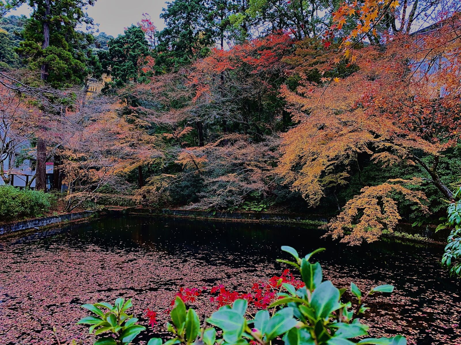 Apple iPhone XS sample photo. Landscape, travel, japanese photography