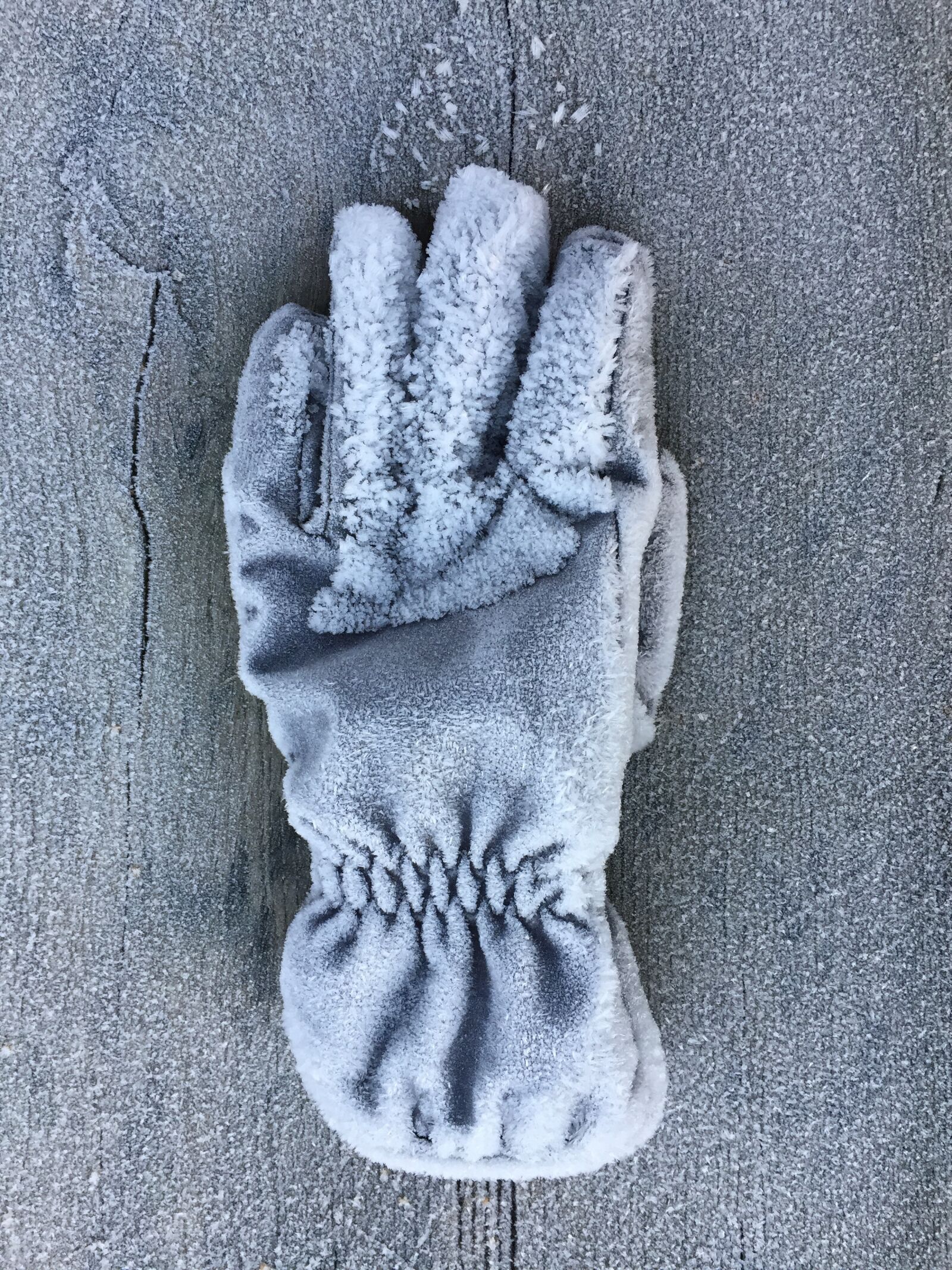 iPhone 6 back camera 4.15mm f/2.2 sample photo. Winter, rim, rime photography
