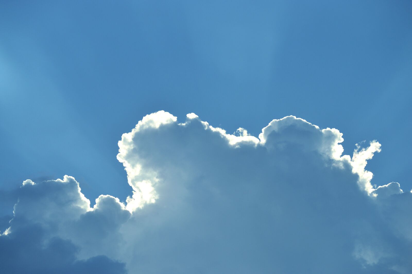 Nikon D3200 sample photo. Nature, summer, sky photography