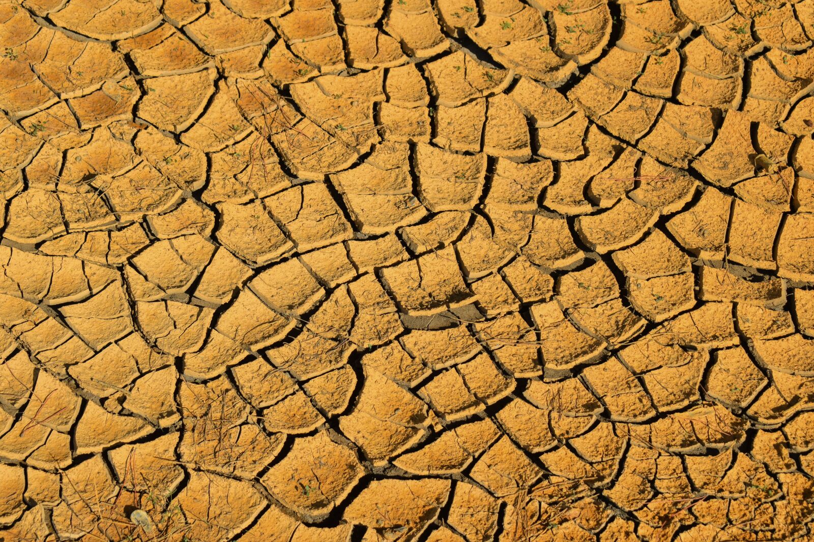 Nikon D3300 sample photo. Drought, aridity, aridness photography